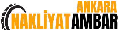 Bursa Bayat Ambar